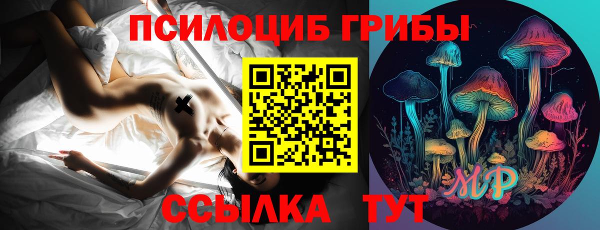 Псилоцибиновые грибы прущие грибы Луховицы